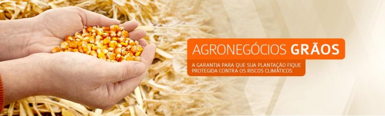 Seguro Agronegócios Grãos é na Villarim Seguros!  - Ligue agora! (11) 91291 5070 Whats